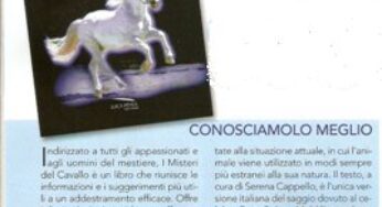 “I misteri del cavallo”: conosciamolo meglio