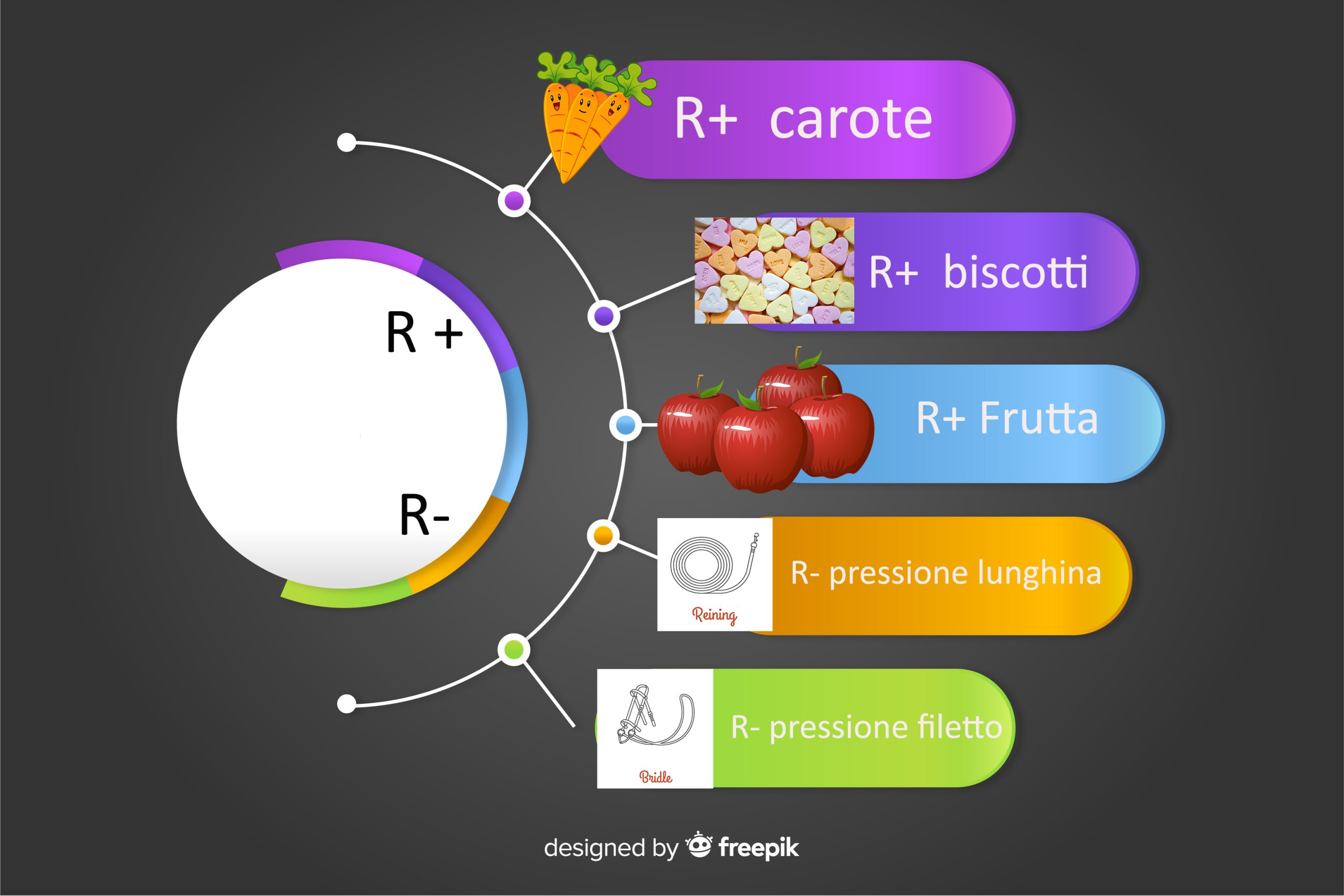 rinforzi