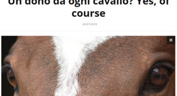 “Un dono da ogni cavallo” recensione su Equestrian Insights