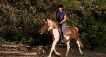 Il mal di schiena in equitazione