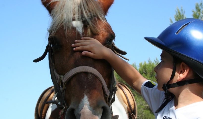bambini e cavalli