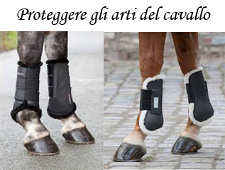 protezioni per gli arti del cavallo