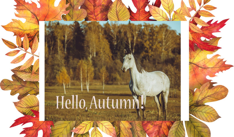 mese di ottobre