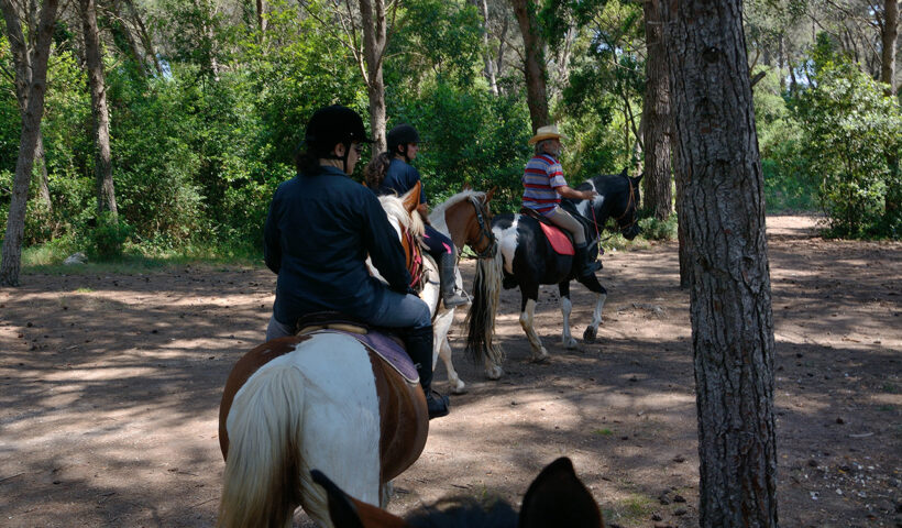 passeggiate a cavallo