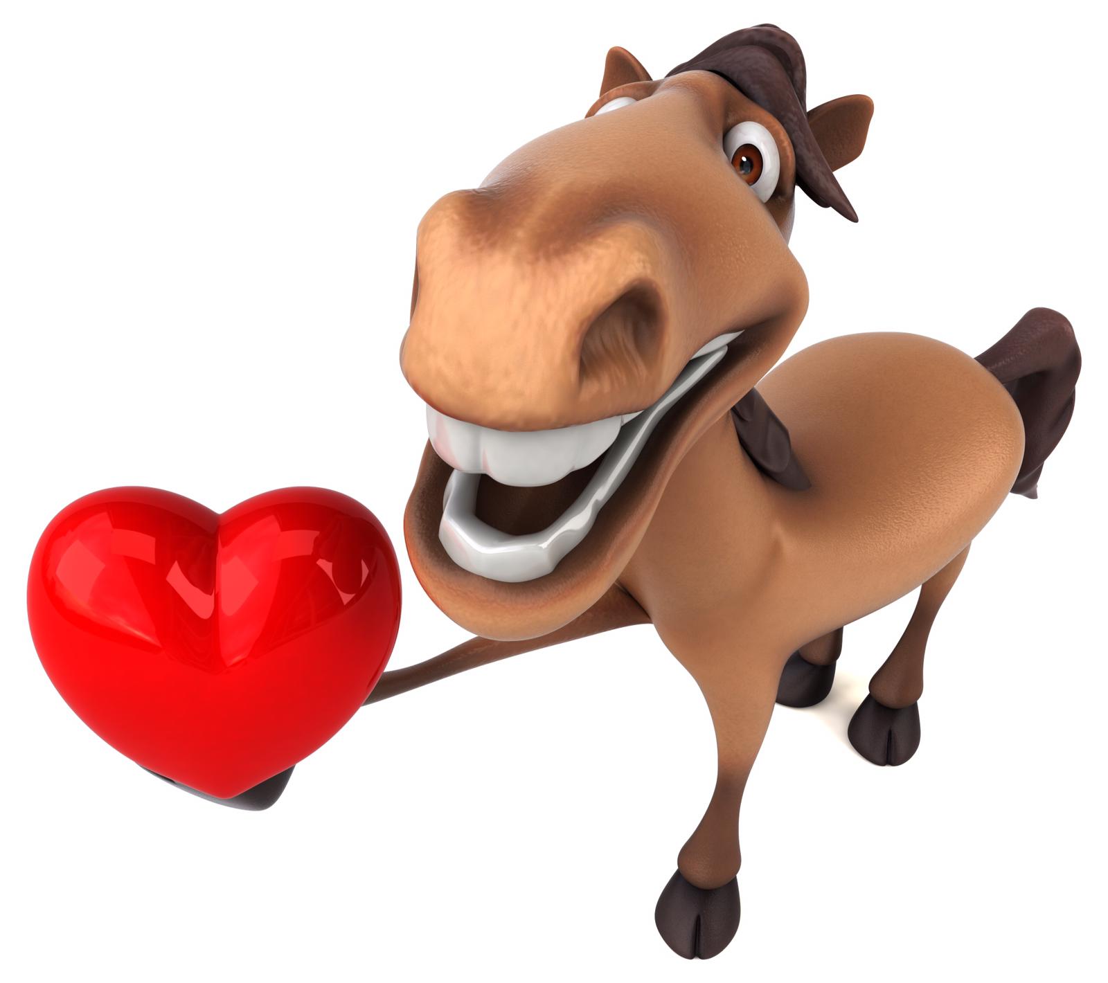 cuore del cavallo