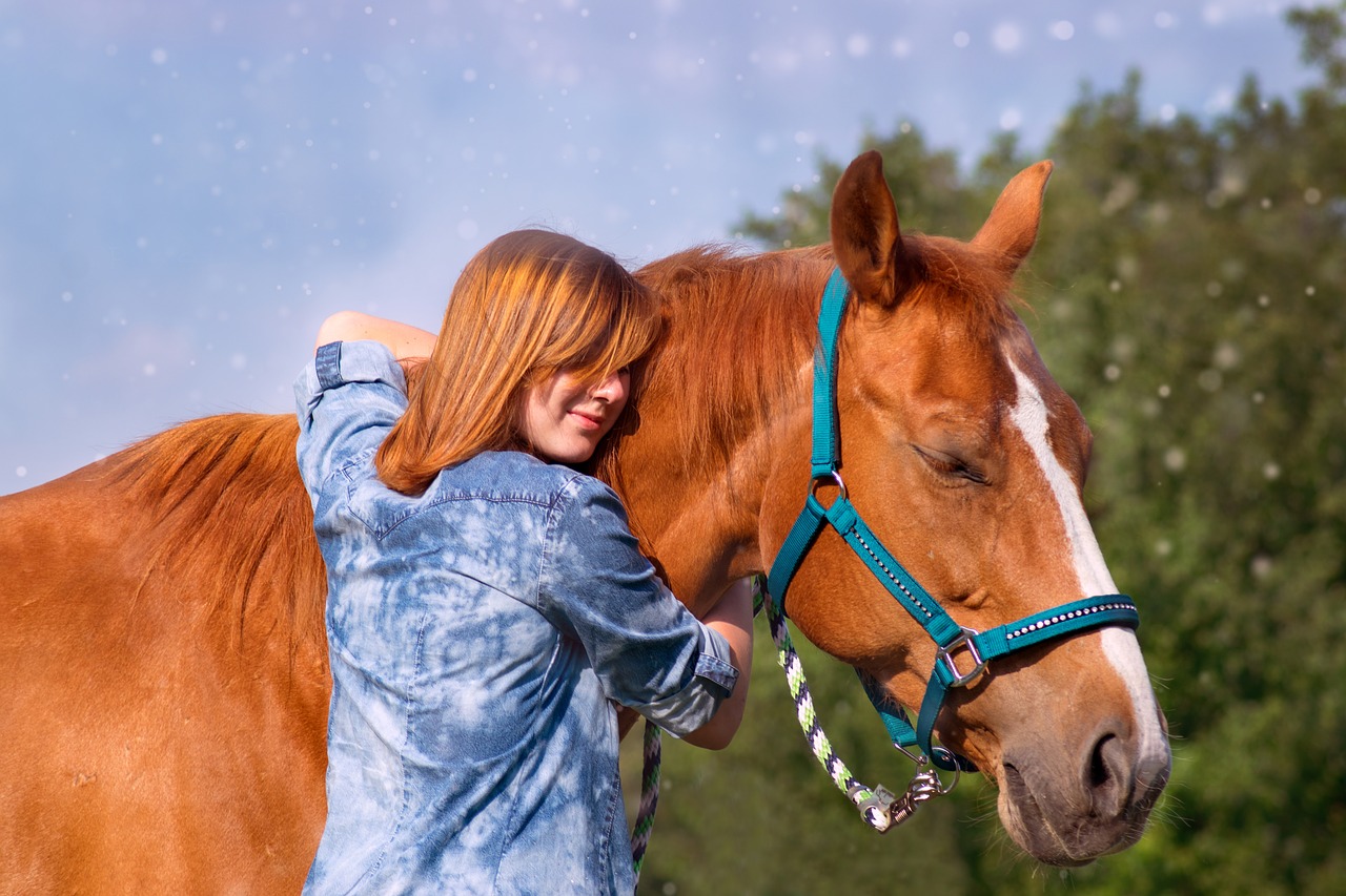 giornata del cavallo