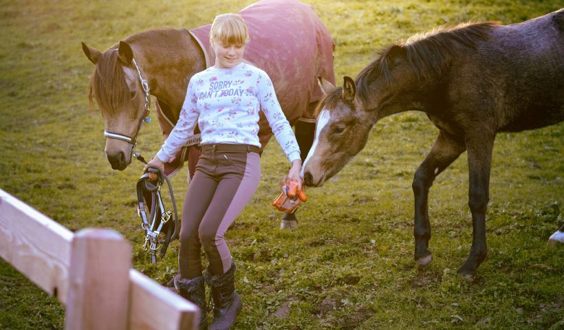 condurre il cavallo