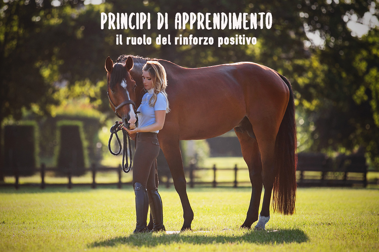 grooming e carezze
