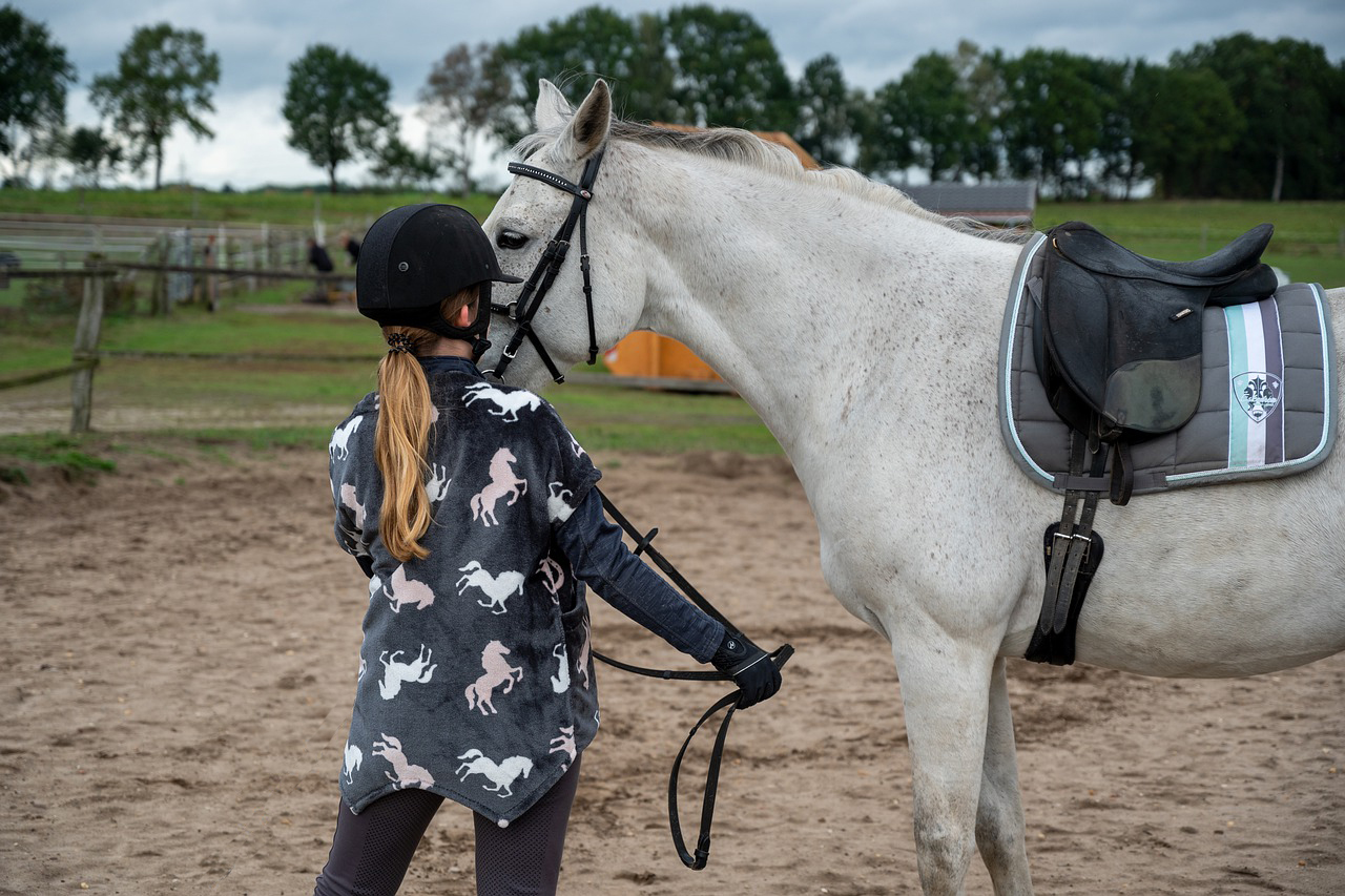 probelmi con il cavallo