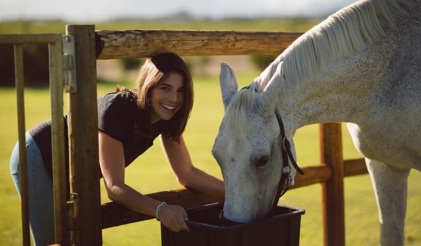 dare gli elettroliti al cavallo