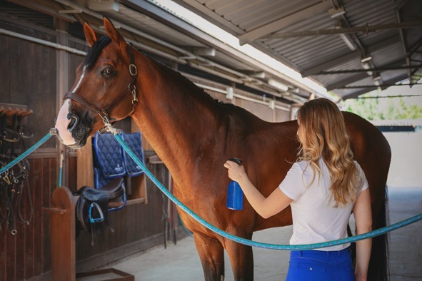 abituare il cavallo allo spray