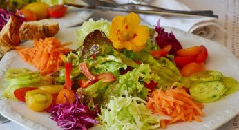 Alimentazione per uno stile di vita equestre