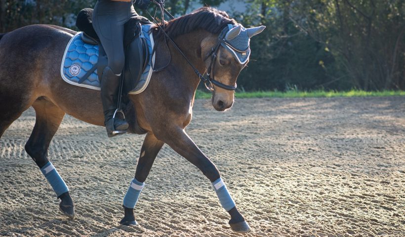 pantaloni da equitazione