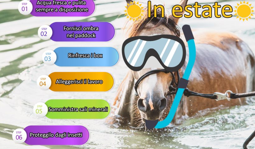 equitazione estiva