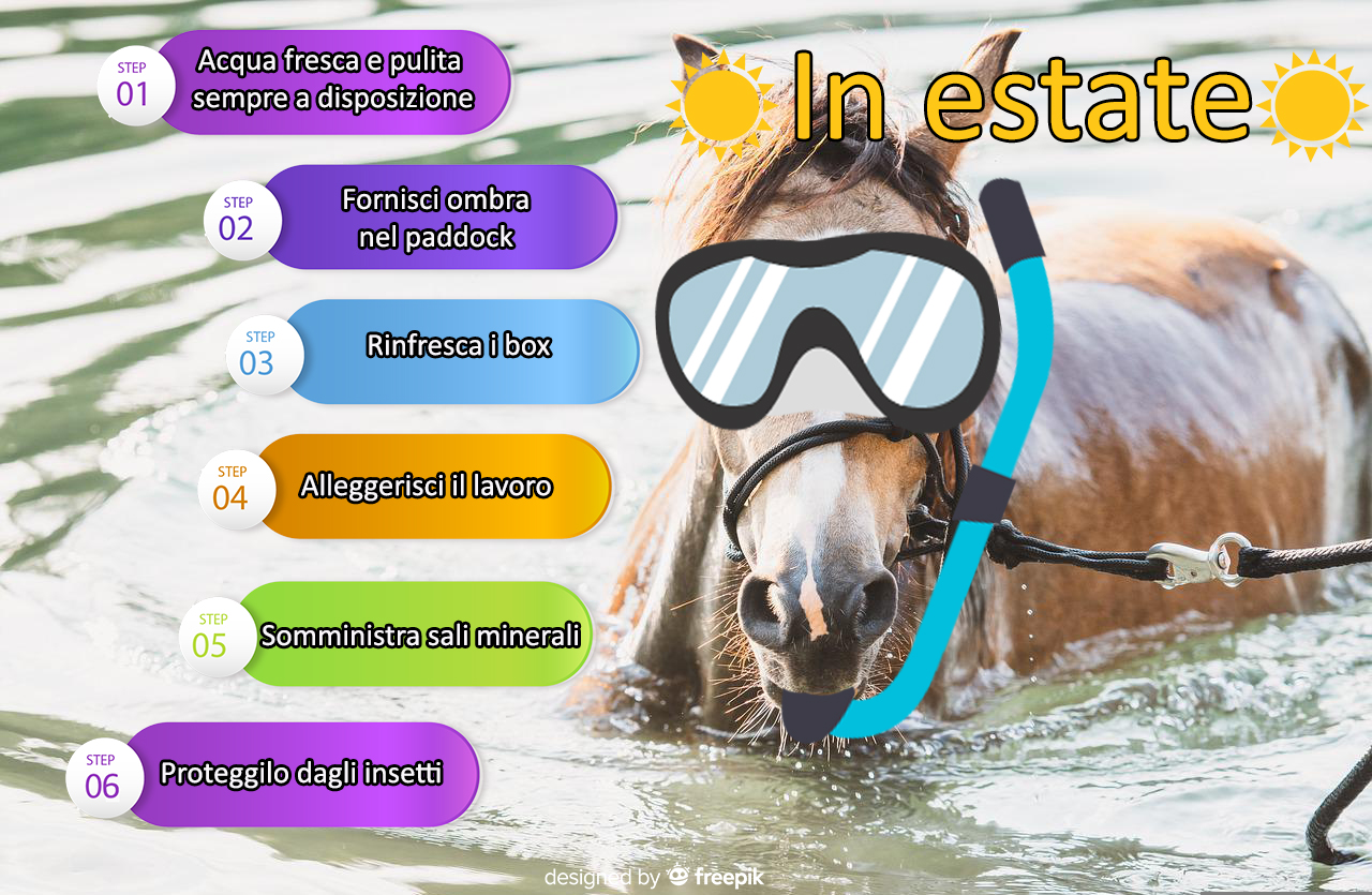 equitazione estiva