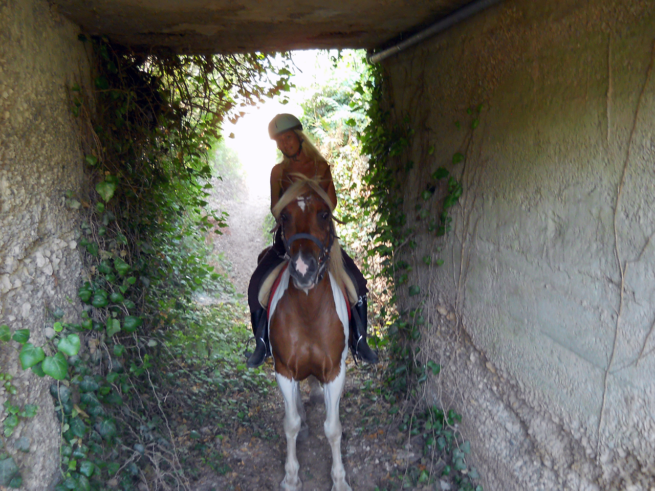 claustrofobia nel cavallo