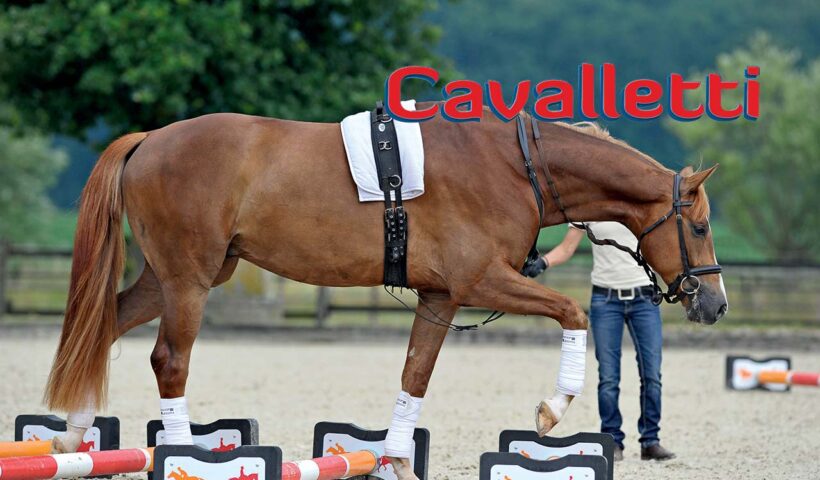 cavalletti