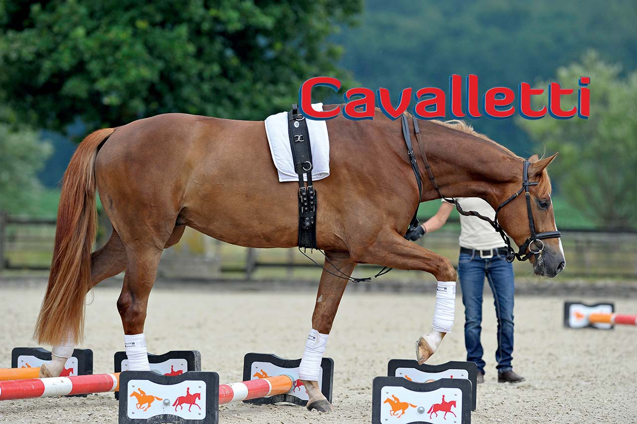 cavalletti