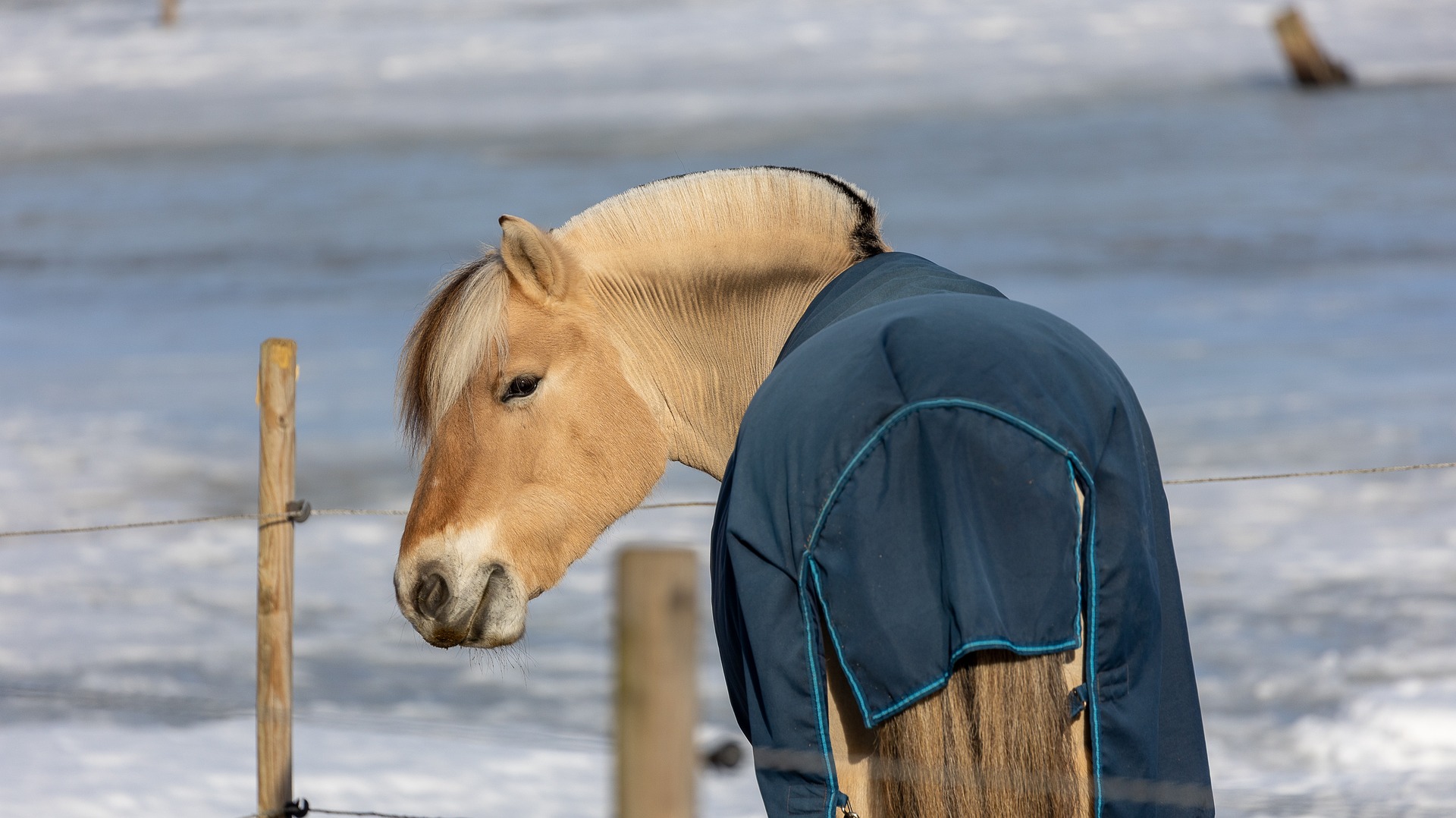 coperta invernale