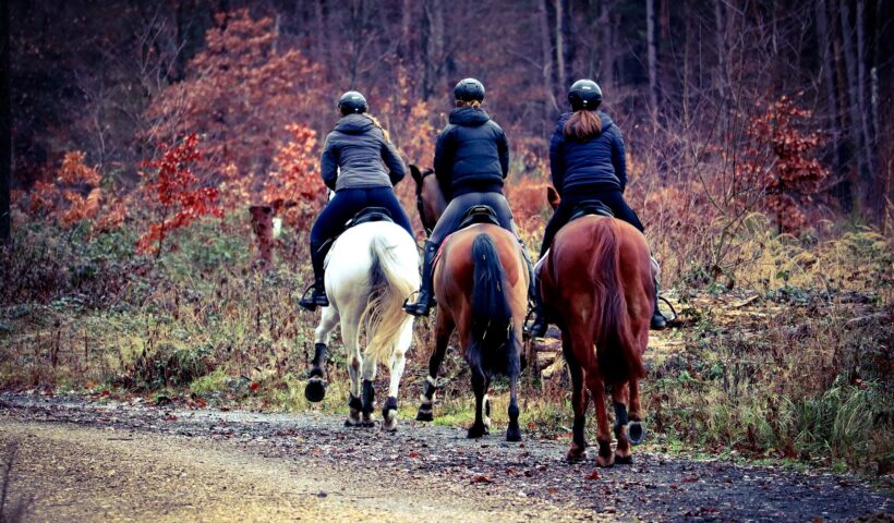 passeggiate a cavallo