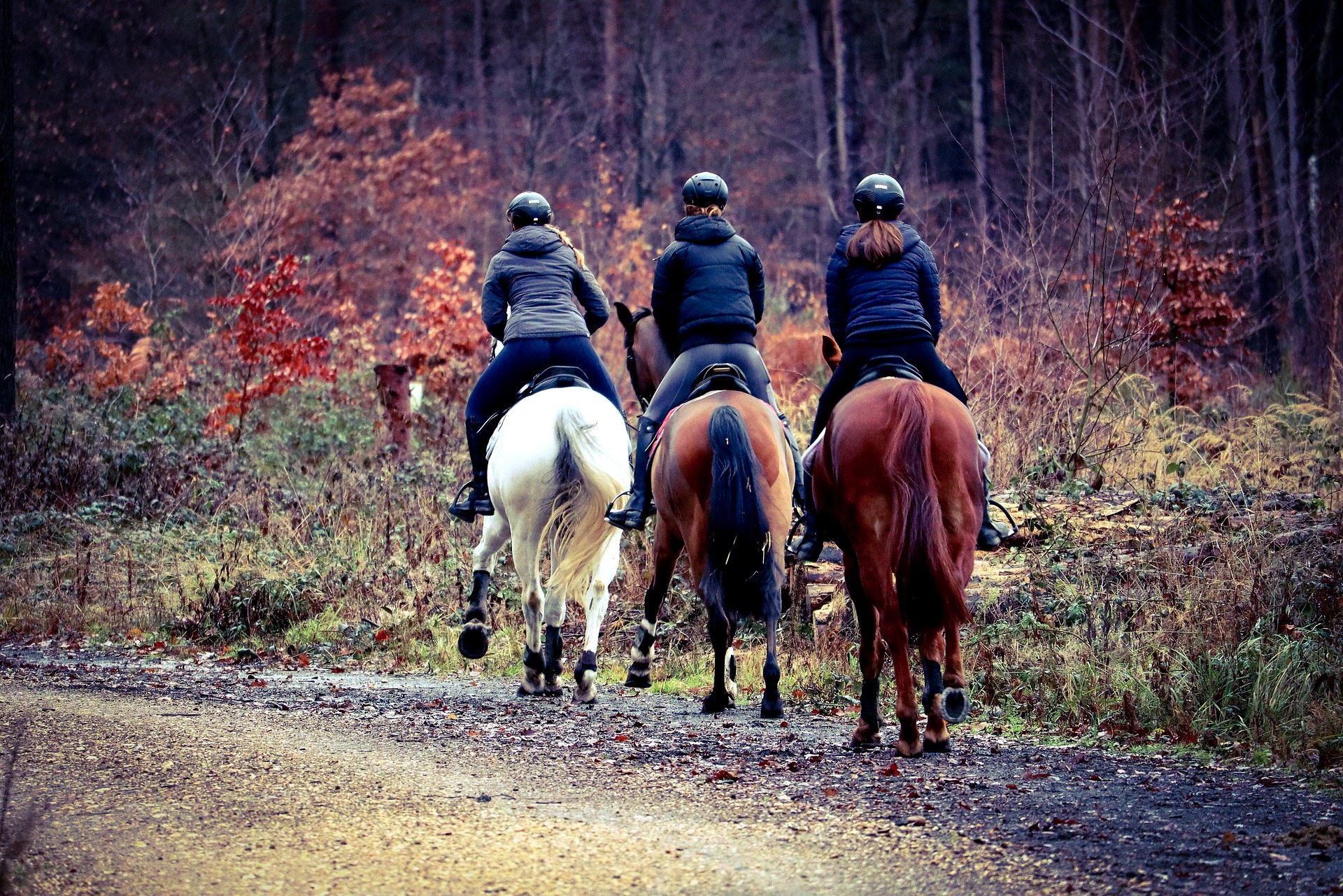 passeggiate a cavallo