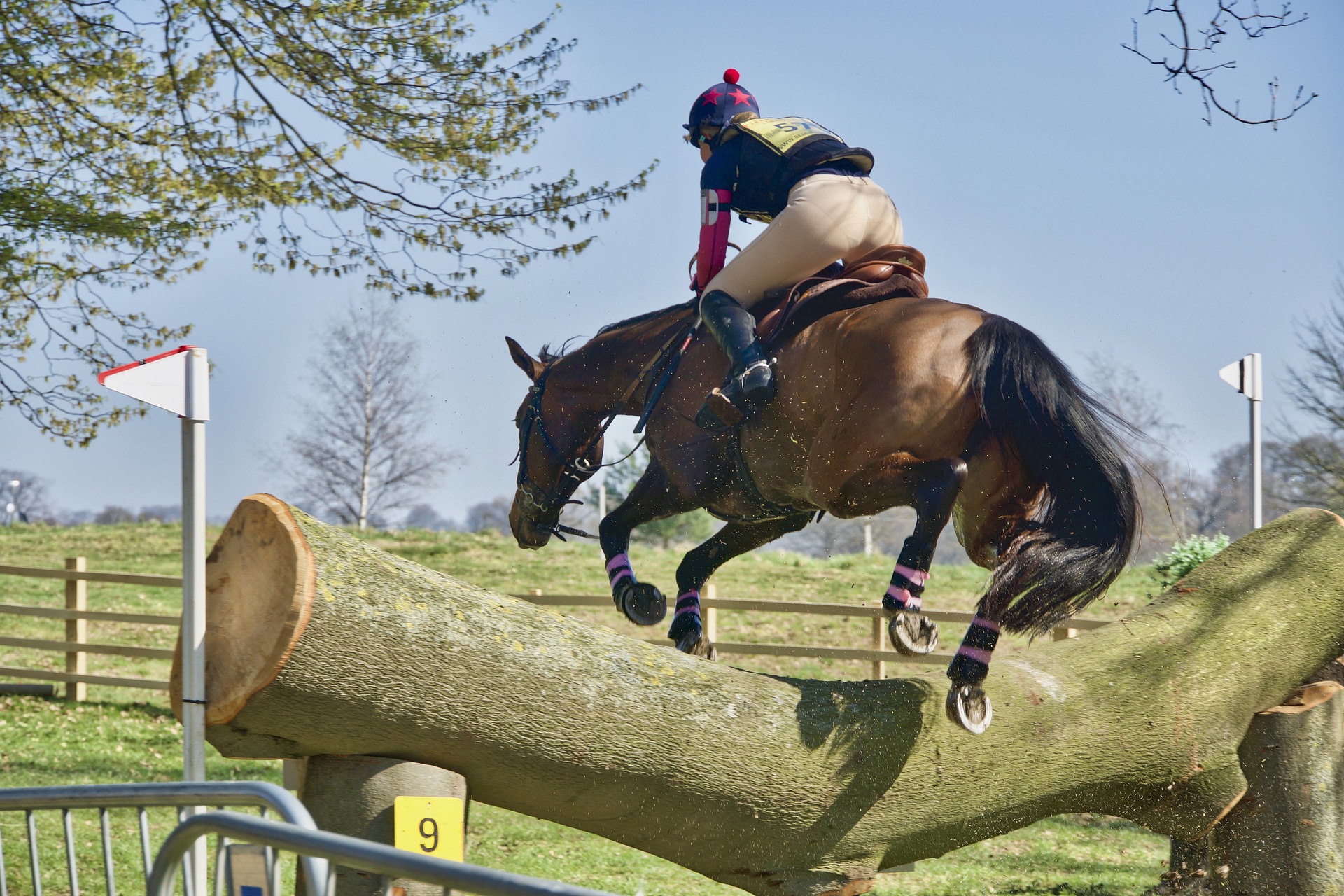 sport equestri