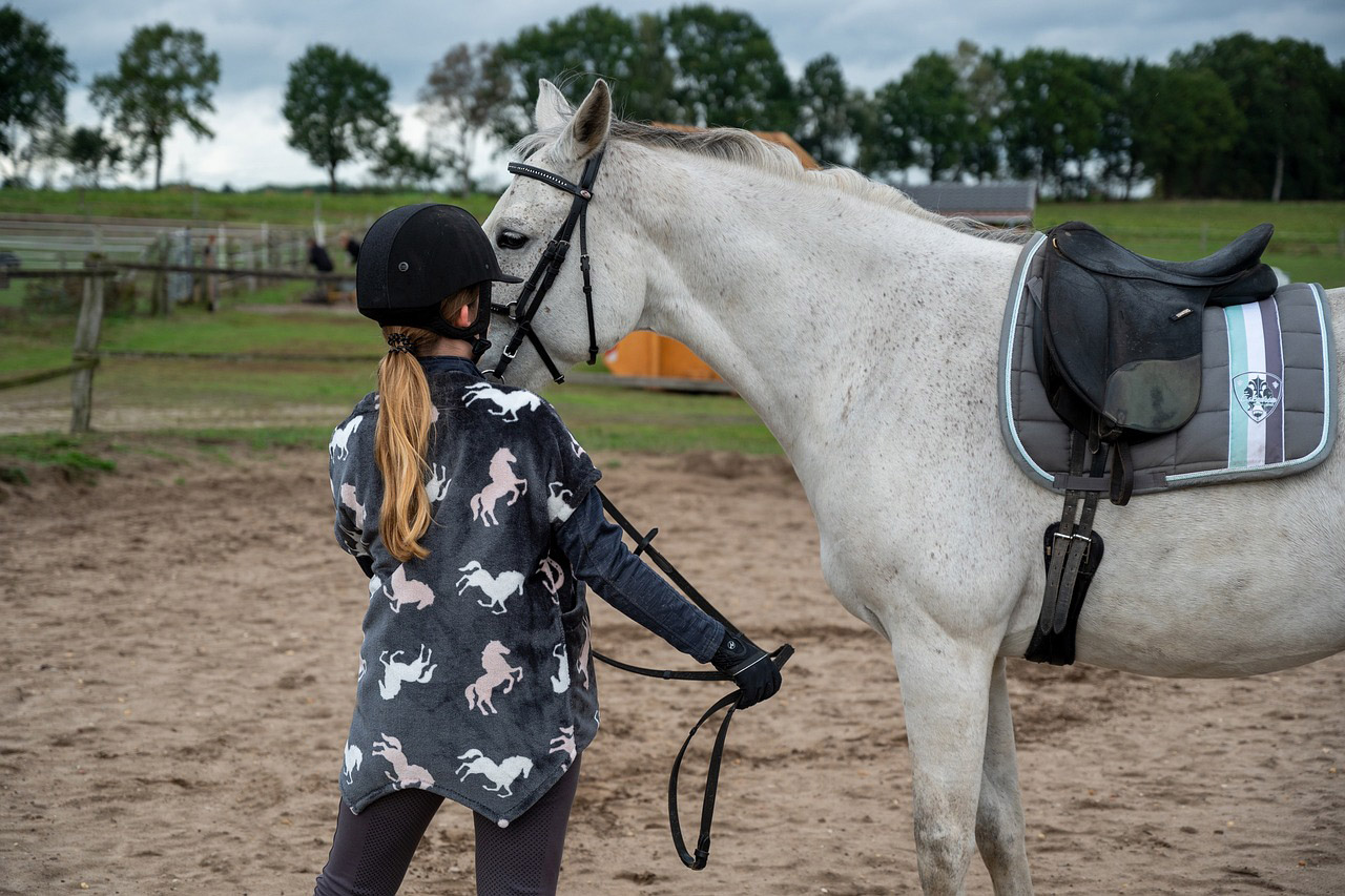 scendere da cavallo