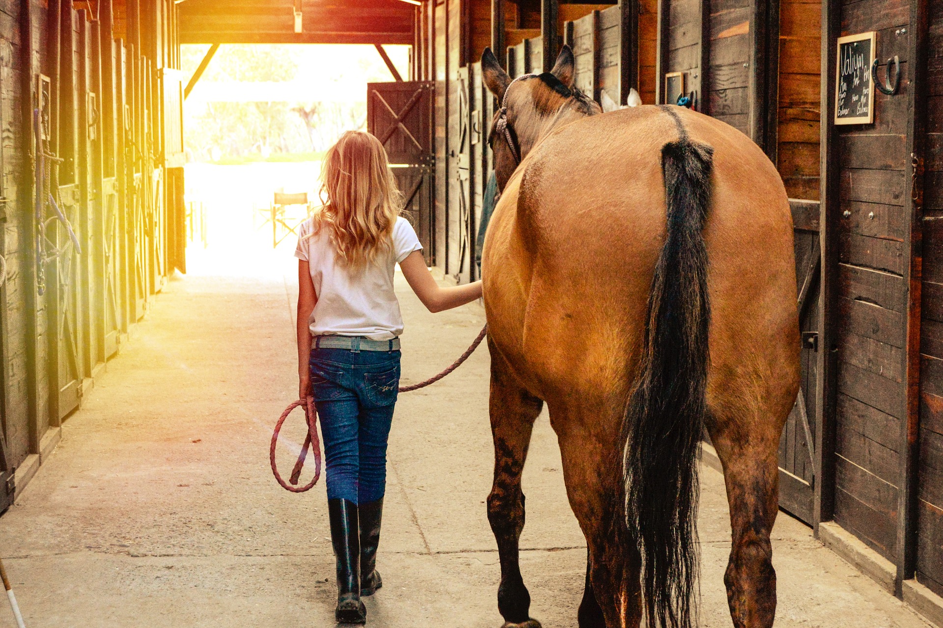 acquistare un cavallo