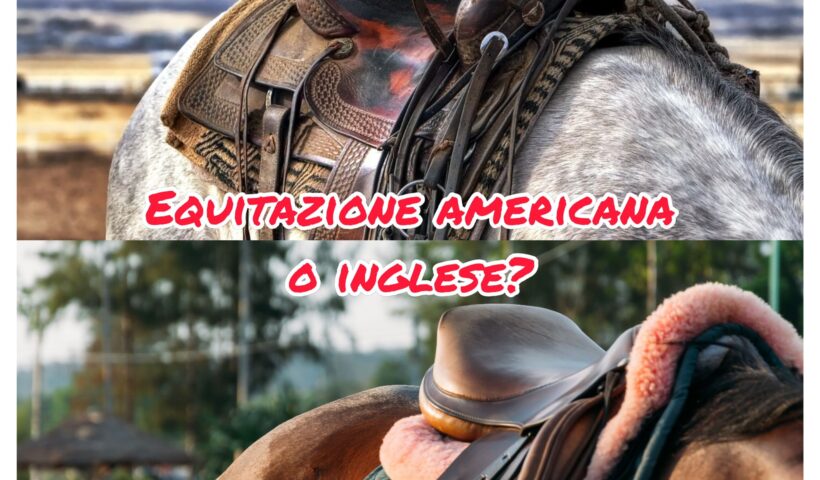 equitazione americana