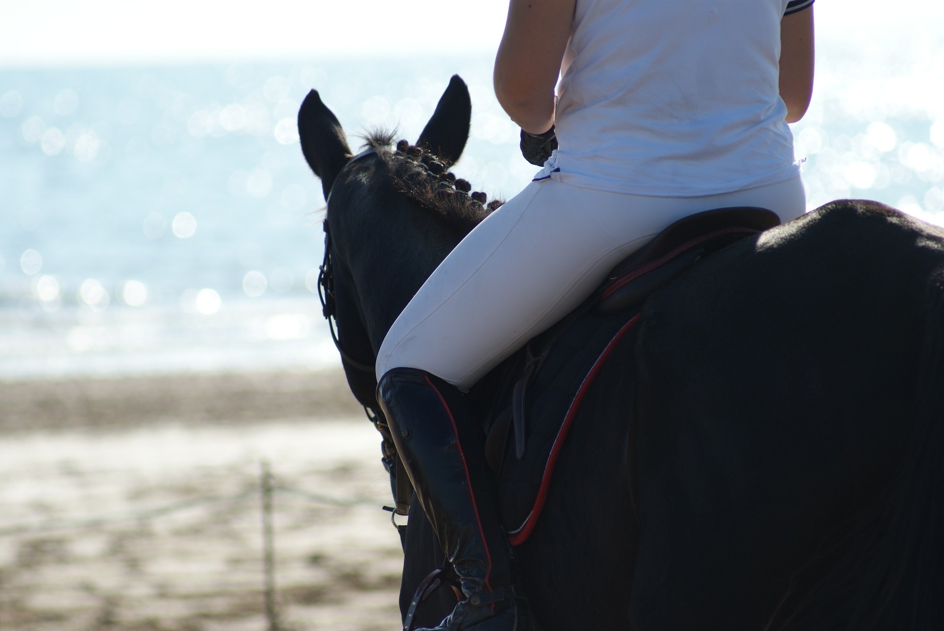 equitazione consapevole