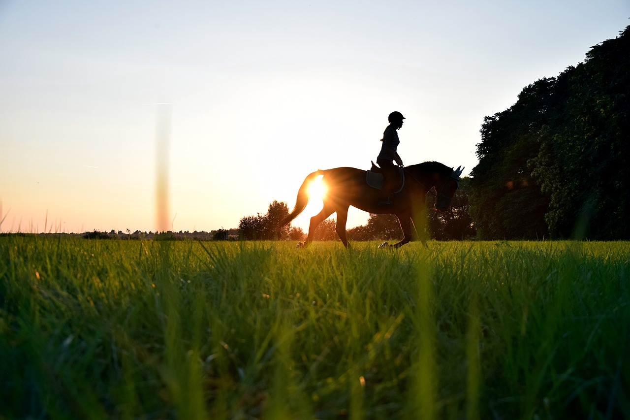 binomio cavallo cavaliere