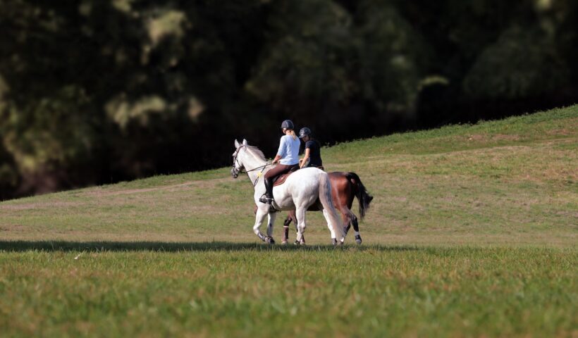 discese passeggiate a cavallo