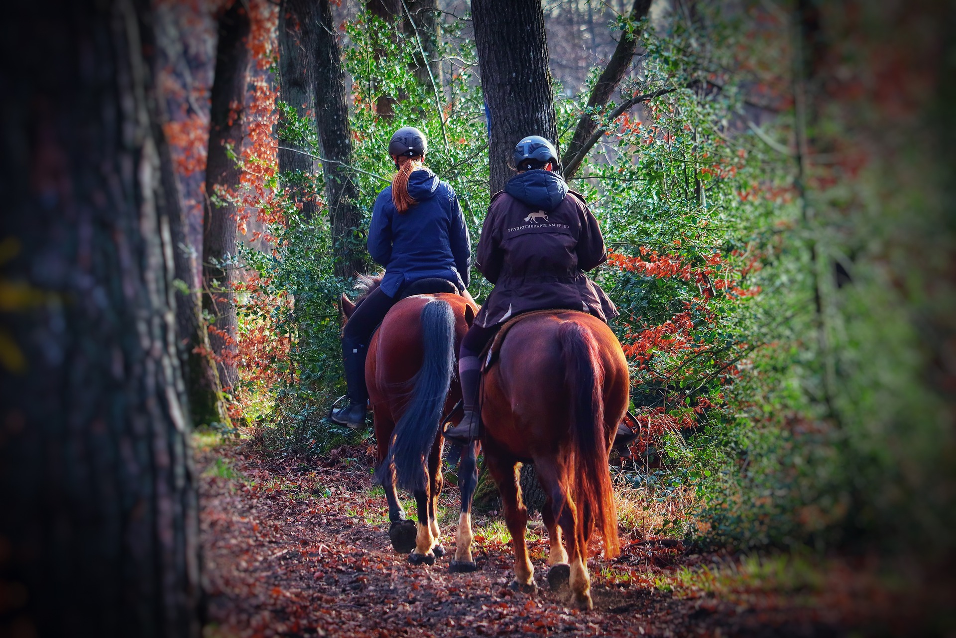 escursioni a cavallo