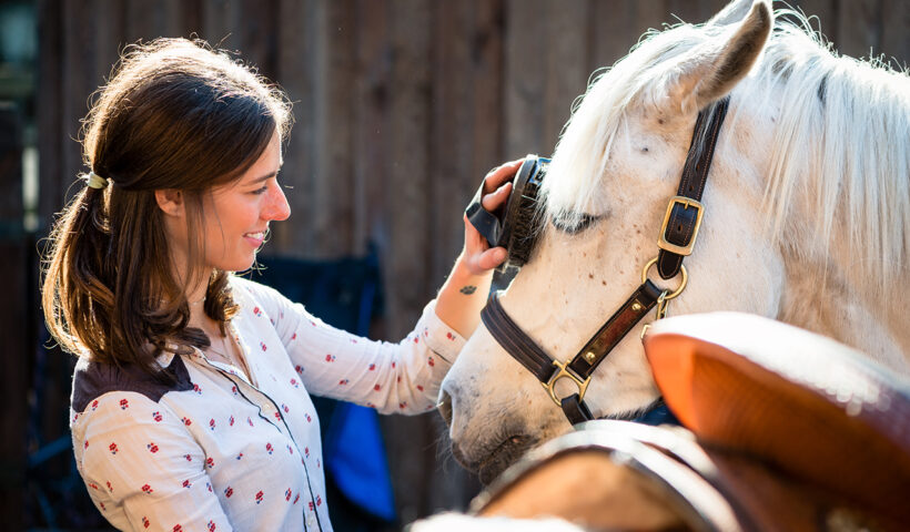 strigliare il cavallo