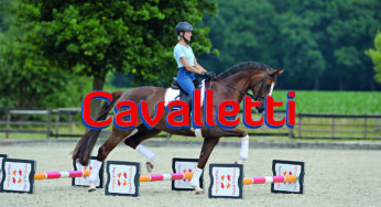 Il trotto seduto sui cavalletti