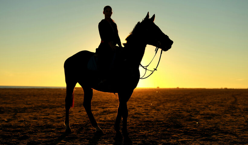 addestramento del cavallo