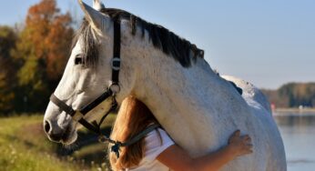 Quando l’Amore per i Cavalli si Scontra con la Durezza della Realtà Familiare