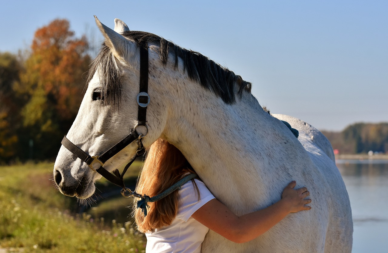 amore per i cavalli