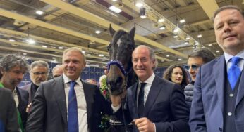 Varenne a Fieracavalli: ecco quanto costa il suo ‘outfit’