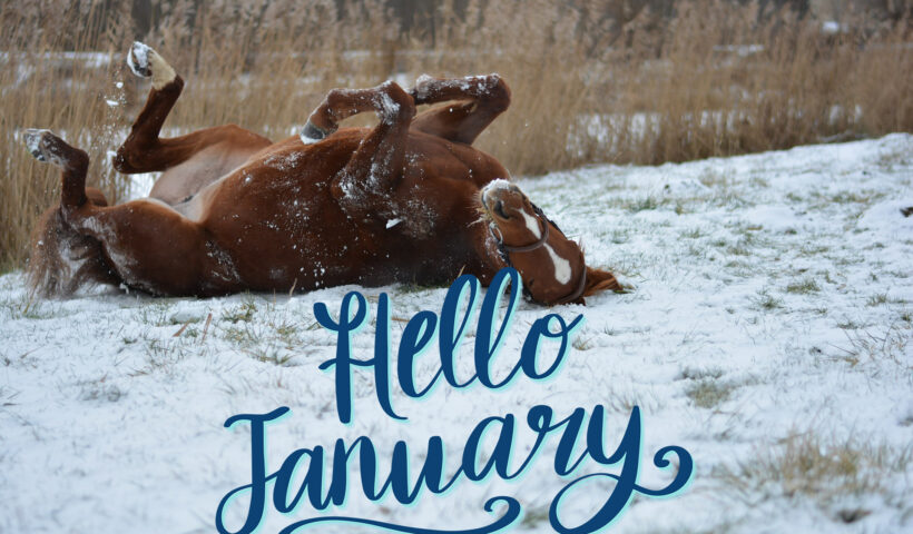mese di gennaio accorgimenti cavallo