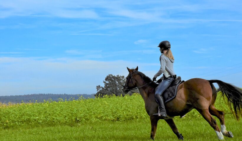 passeggiata a cavallo