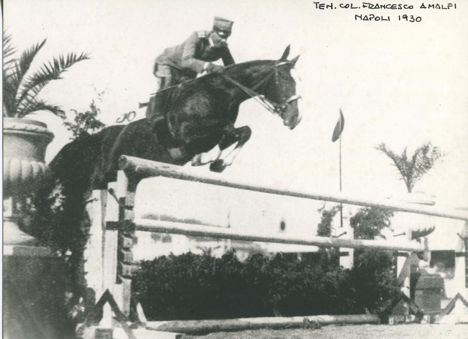 equitazione italiana francesco amalfi