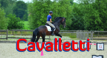 Migliorare le prestazioni e l’affiatamento tra cavallo e cavaliere