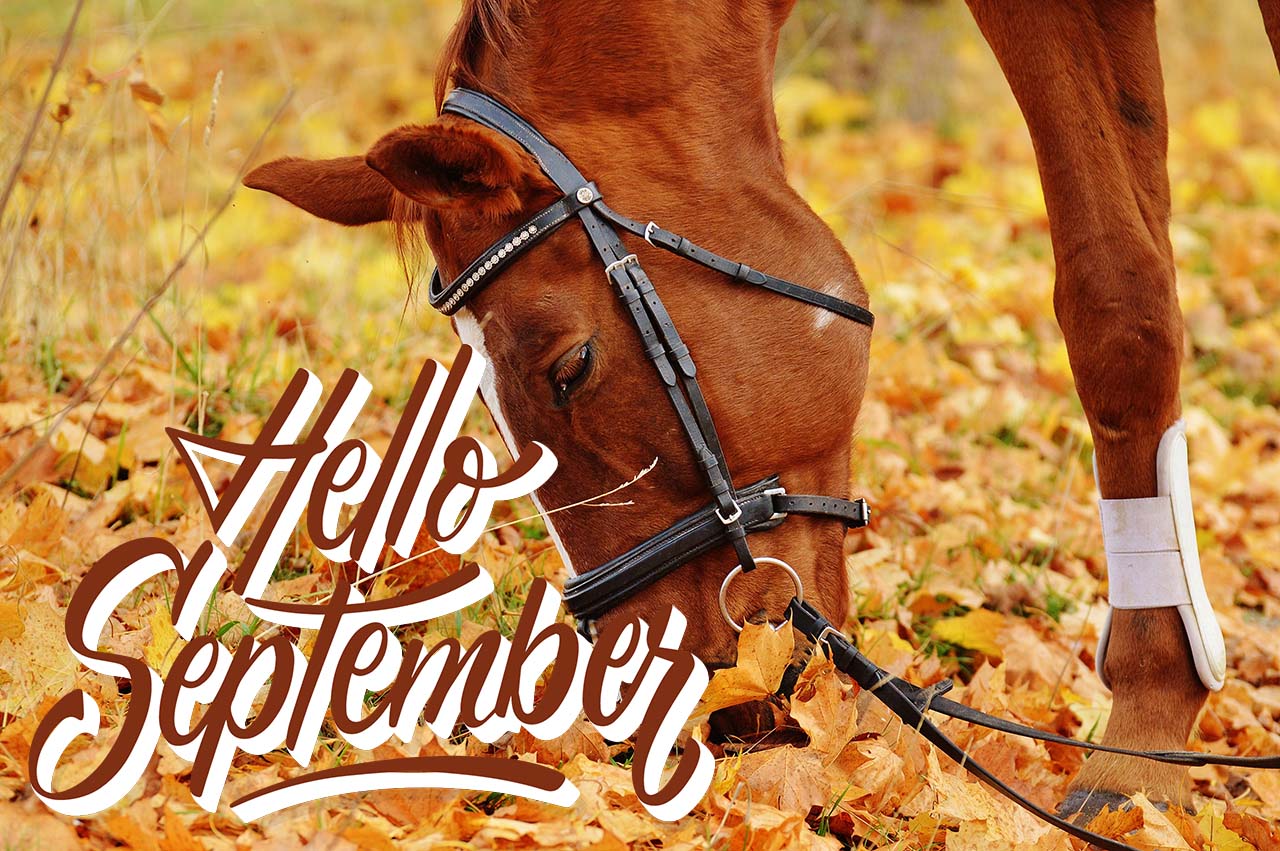 mese di settembre