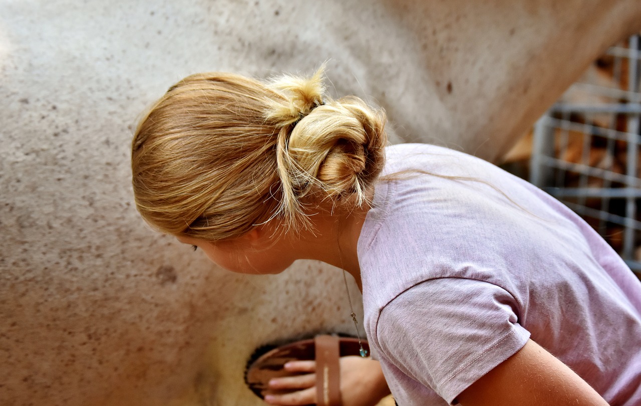 fiaccatura cavallo