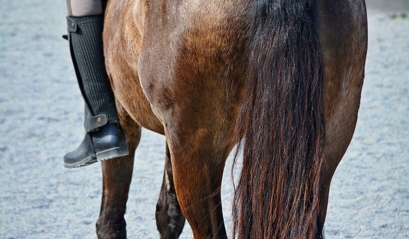 salire a cavallo a pelo
