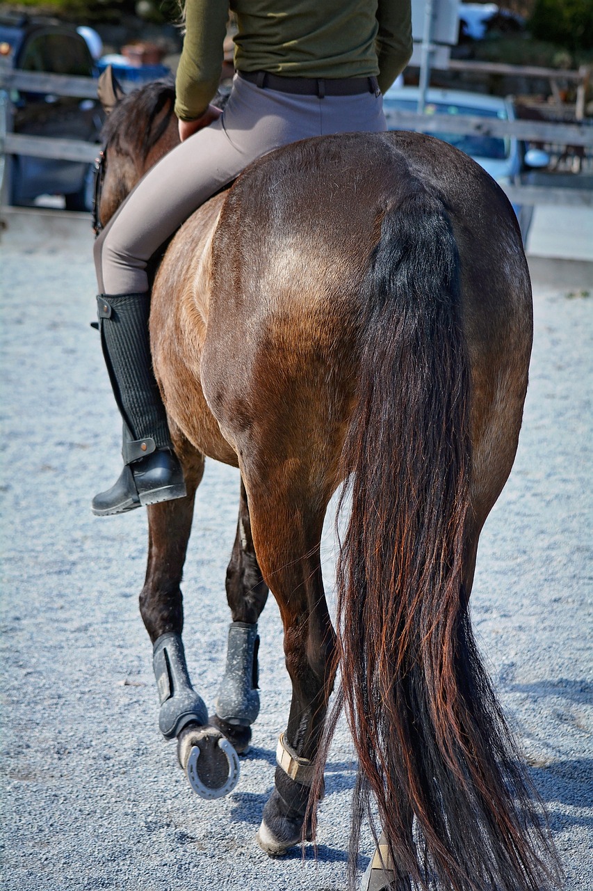 salire a cavallo a pelo
