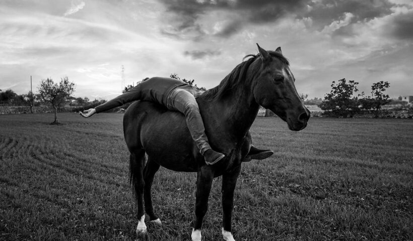 legame uomo cavallo giuseppe colapinto