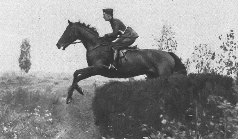 muscoli equitazione scritti equestri