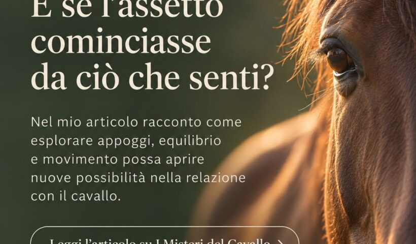 come migliorare la tua posizione a cavallo